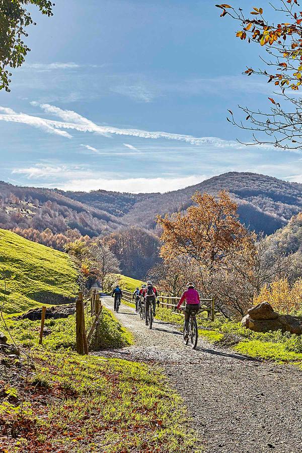 Ciclistas por la vía verde del Plazaola